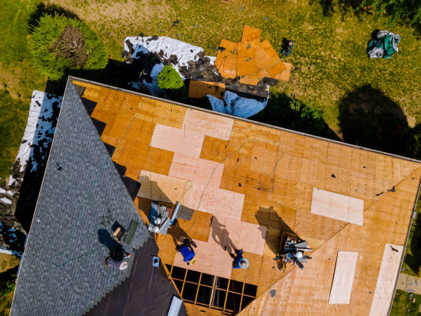 Best Roof Repair Specialists  in Houston, AK