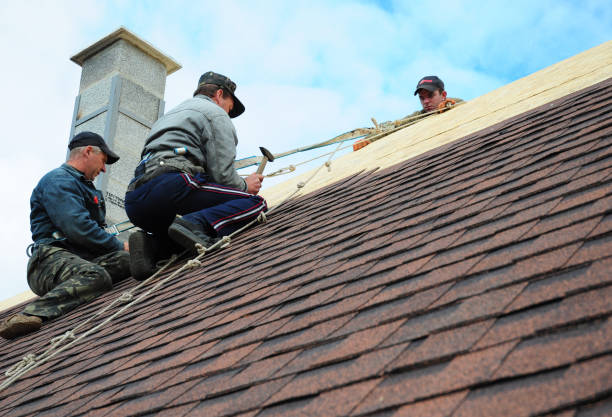 Best Gutter Installation and Roofing  in Houston, AK